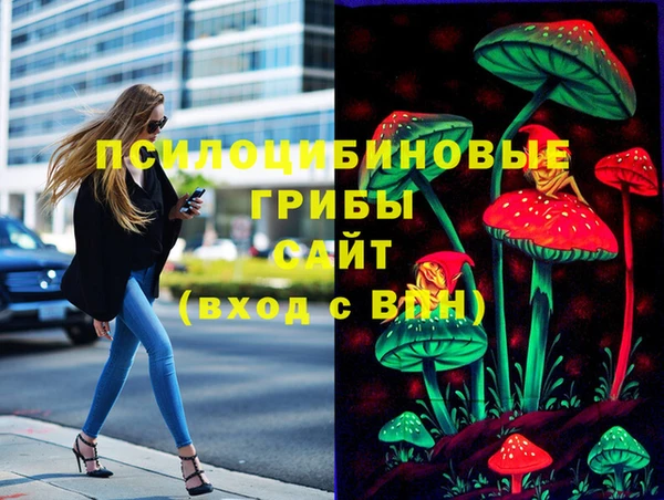 гашик Надым