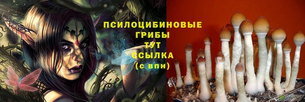 метамфетамин Нея
