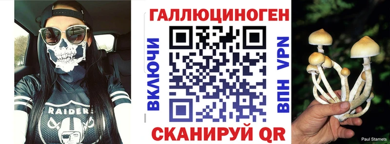 Псилоцибиновые грибы GOLDEN TEACHER  купить  цена  Магадан 